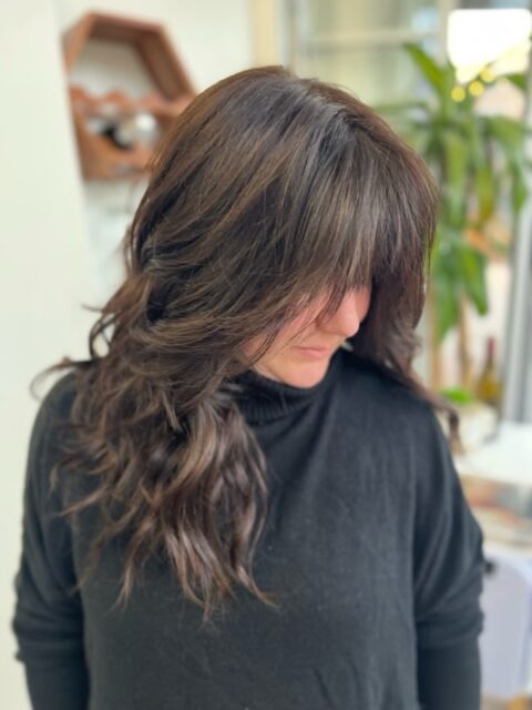 Hair after — smooth, mirror-shine finish.